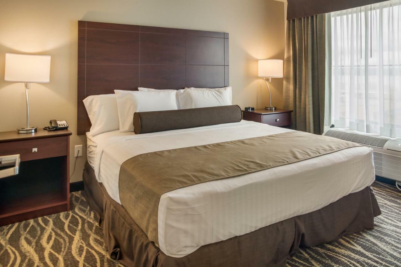 Cobblestone Inn&Suites - Menomonie/UW-Stout Esterno foto